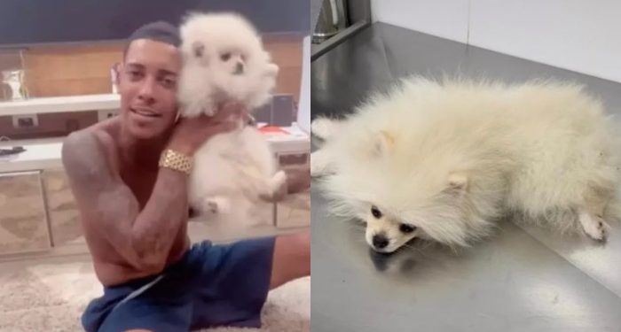 Doguinho de Mc Poze engole baseado e vai parar no veterinário chapado: ‘zé droguinha’
