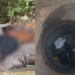 Perto de árvore e bueiro em Manaus, corpo esquartejado é encontrado por moradores