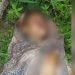 Mais um corpo enrolado em lençol é encontrado em Manaus