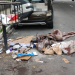Garis estranham peso de sacos de lixo e descobrem mulher esquartejada em lixeira de Manaus