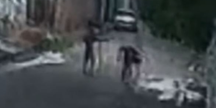 Vídeo: Homem flagra criminoso roubando carro do vizinho e acaba morto em Manaus