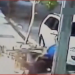 Vídeo: Jovem dá golpe ‘ninja’ em dupla de criminosos e consegue fugir de assalto