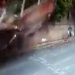 Família escapa de ser esmagada por muro que desabou em calçada; veja o vídeo