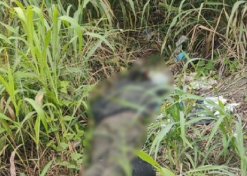 Homem é abandonado morto a tiros em meio ao lixo em área de mata em Manaus