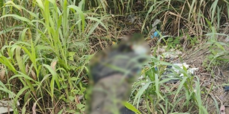 Homem é abandonado morto a tiros em meio ao lixo em área de mata em Manaus