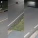 Vídeo: Homem morre esmagado por carro ao se deitar em estrada em Parintins