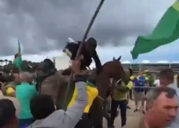 Vídeo: policial da cavalaria é agredido a pauladas por bolsonaristas em Brasília