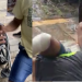 Milagre? Cadeirante se levanta e vai pra porrada com homem após ser desmascarado em Manaus; vídeo