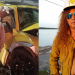 Wanderley Andrade confirma que mecânico morreu dirigindo escondido o carro dele