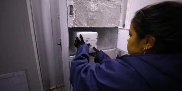 Governo do Amazonas recebe primeiro lote de vacina bivalente da Pfizer