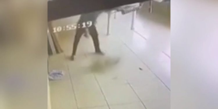 Vídeo: homem arremessa cachorro do vizinho no chão várias vezes após se irritar com latido