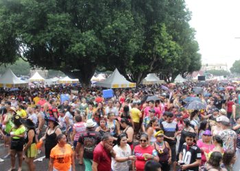 Confira opções para curtir a folia do Carnaval na capital amazonense