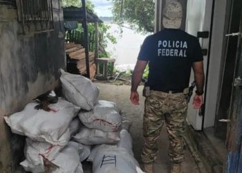 PF apreende 1 tonelada de pescado ilegal com ex-vereador do Amazonas