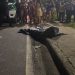 ​Entregador de banana é executado na Raiz