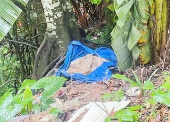 Funcionário de empresa encontra cadáver em estado de decomposição em Manaus