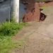 Vídeo: enorme cratera se forma próximo ao Clube Municipal de Manaus