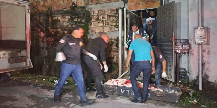 Pistoleiro mata detento do semiaberto por janela em cima de cama no Terra Nova; Imagens fortes