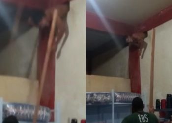 Vídeo: ladrão fica preso em buraco de parede ao tentar roubar comércio no AM