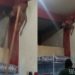 Vídeo: ladrão fica preso em buraco de parede ao tentar roubar comércio no AM