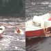 Vídeo: Turista é levado pelas águas da Corredeira do Urubuí em PF e bombeiros o resgatam