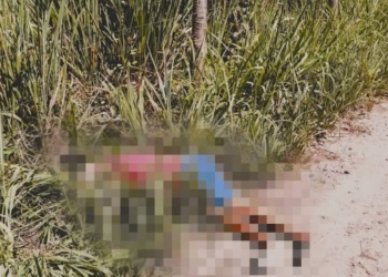 Mulher é presa suspeita de mandar matar o estuprador da filha de 11 anos