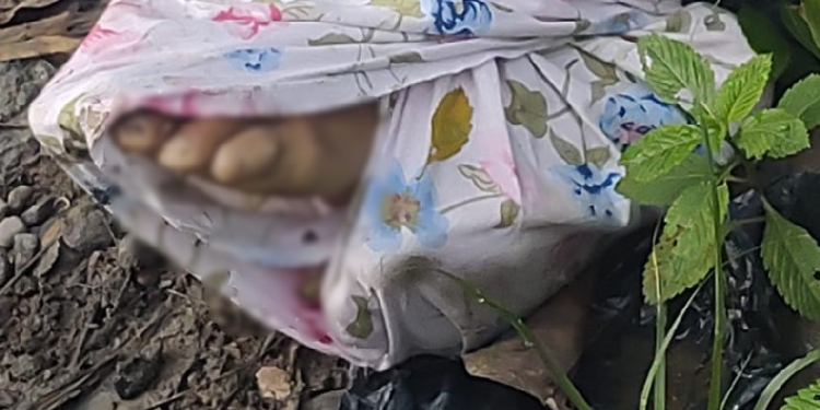 Enrolado e amarrado, corpo de homem é encontrado na beira de rua no Distrito Industrial