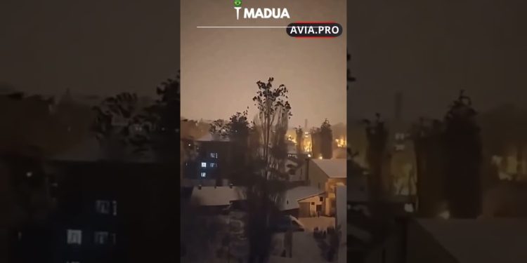 Na Turquia, aves ‘tentaram avisar’ que terremoto estava prestes a acontecer; VEJA