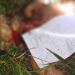“Morreu pq foi Jack”, diz bilhete ao lado de corpo degolado