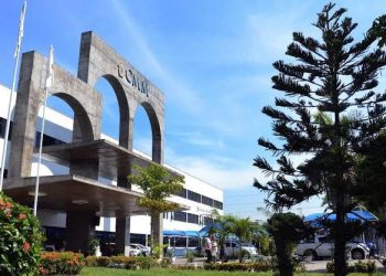 Vereadores debatem aumento no número de mortes no trânsito e a volta dos corujinhas para frear violência nas ruas