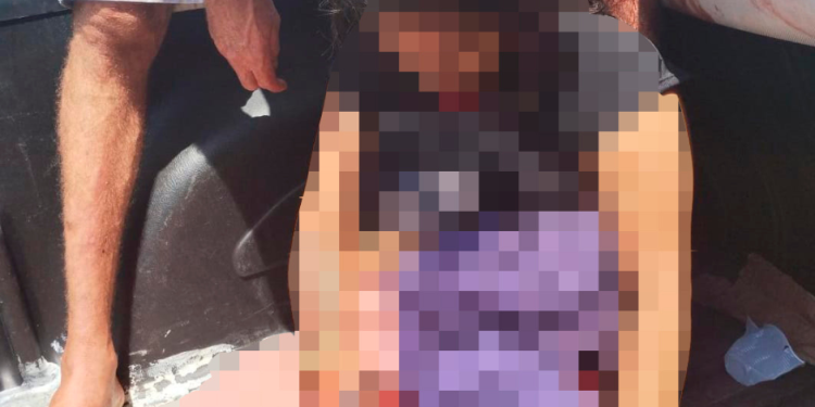 ‘Nana na Onça’ sofre atentado dentro de ônibus que faz linha Manaus/Iranduba; assista