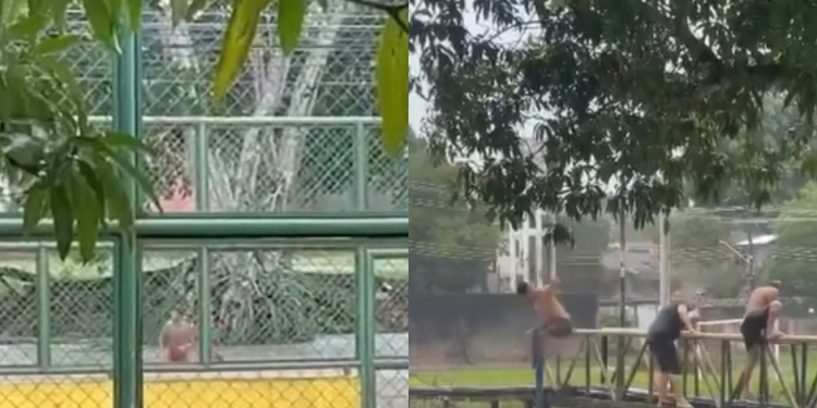 Moradores aproveitando enxurrada para brincar de mergulho viriliza; assista