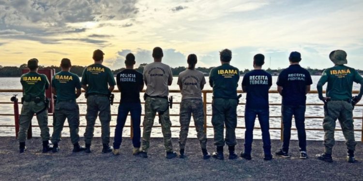 Ibama e PF pegam 30 toneladas de pescado ilegal no Amazonas e doam para escolas públicas