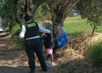 Vídeo mostra homem matando colega de trabalho com retroescavadeira