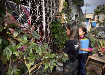 Filha é presa por maltratar de mãe de 76 anos