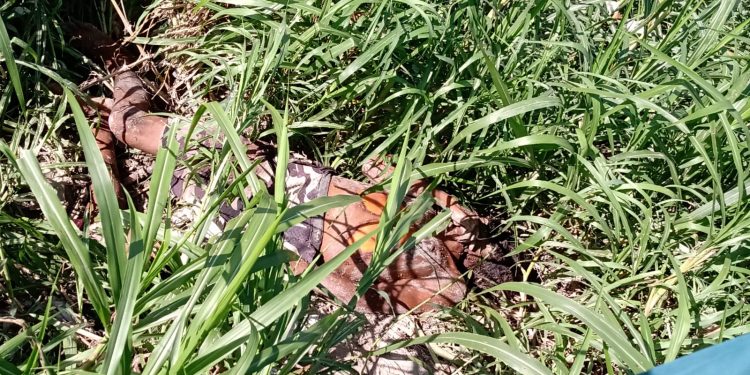Correnteza arrasta cadáver até igarapé no Cidade Nova