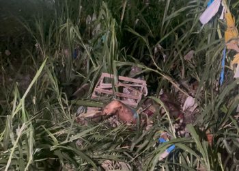 Outro corpo é encontrado em igarapé da zona Leste