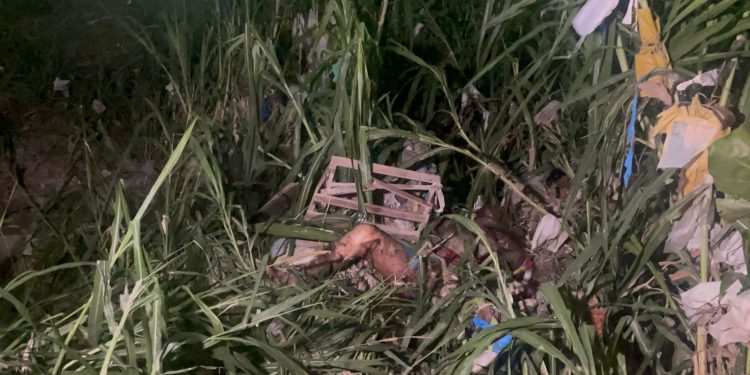 Outro corpo é encontrado em igarapé da zona Leste