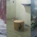 Vídeo: chuva volta a alagar casas e preocupar moradores da zona Leste de Manaus: ‘virou cachoeira’