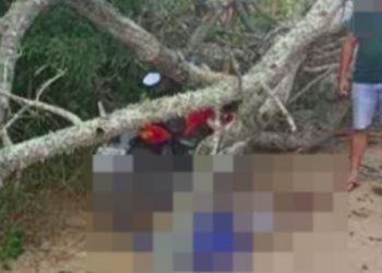 Árvore mata motoqueiro esmagado após ele parar na sombra para atender celular