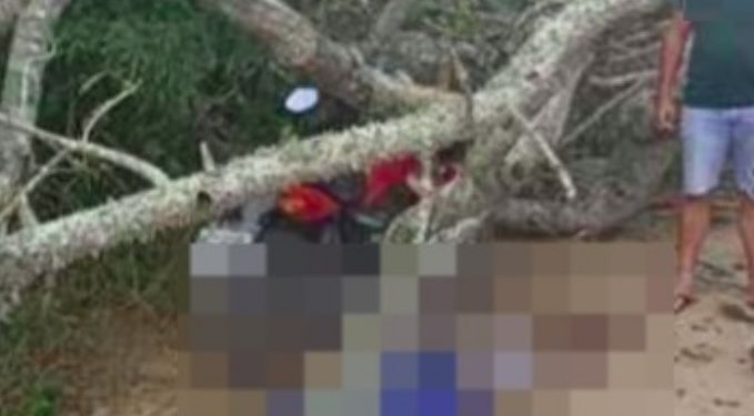 Árvore mata motoqueiro esmagado após ele parar na sombra para atender celular