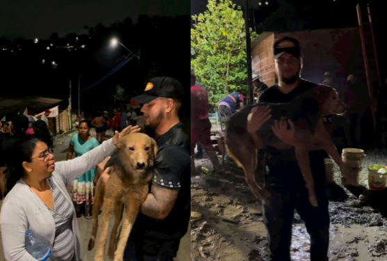 Após 7 horas cachorro soterrado é resgatado com vida em deslizamento em Manaus
