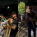 Após 7 horas cachorro soterrado é resgatado com vida em deslizamento em Manaus
