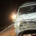 Motorista mata búfalo atropelado na BR-319, em Careiro da Várzea