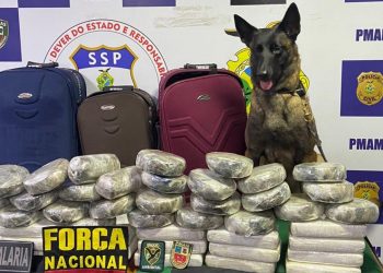 Polícia apreende mais de R$ 1,5 milhão em cocaína na cidade de Coari
