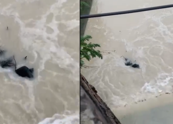 Vídeo: Moradores do Jorge Texas se assustam ao verem corpo amarrado em igarapé