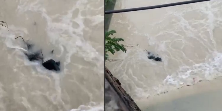 Vídeo: Moradores do Jorge Texas se assustam ao verem corpo amarrado em igarapé