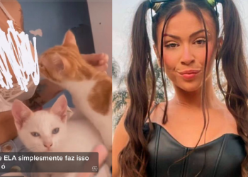 Delegado diz que MC Pipokinha pode ser presa por vídeo onde gatinho lambe suas partes íntimas; veja