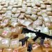Exército tomba 2,7 toneladas de drogas dos traficantes do Amazonas em Japurá