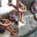 Dupla é espancada e leva chutão na cara após roubarem moradores no bairro Ouro Verde; vídeo