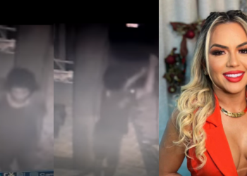 Dona de clínica de harmonização facial se revolta com ladrão de fios do Alvorada: ‘Não pega um choque!’; vídeo